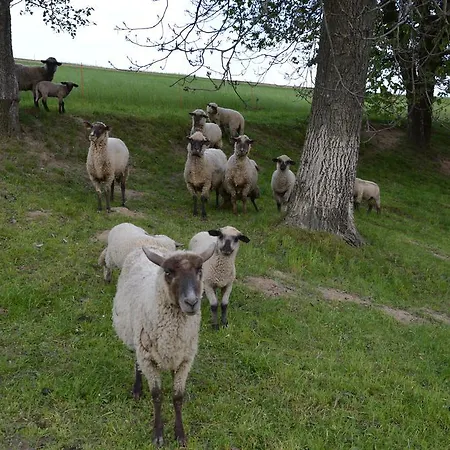 Chaty Antónia Prázdninový dům *