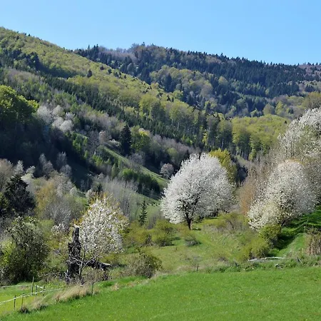 Semesterbostad Chaty Antonia *