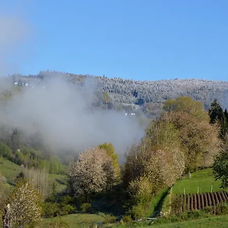 Chaty Antonia Semesterbostad Hriňová