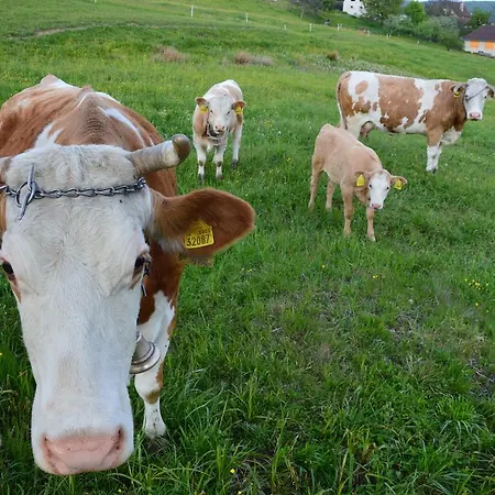 Chaty Antónia * Hriňová