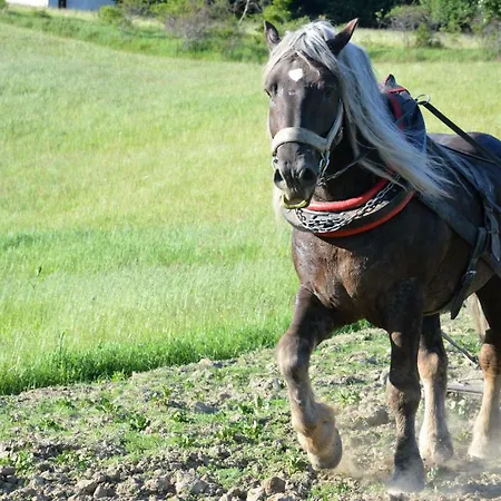 Chaty Antónia * Hriňová