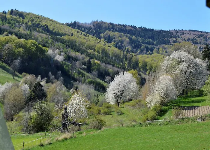 Ferienhaus Chaty Antonia *