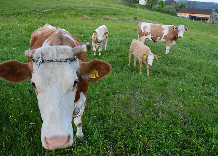 Chaty Antonia * Hriňová