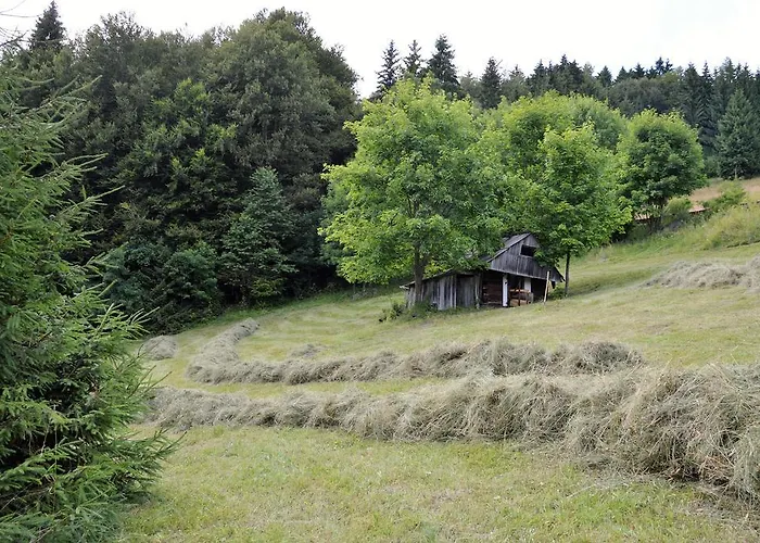 Chaty Antonia 度假居 Hriňová